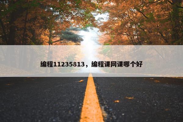 编程11235813，编程课网课哪个好