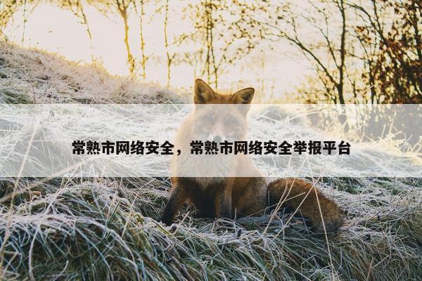 常熟市网络安全，常熟市网络安全举报平台