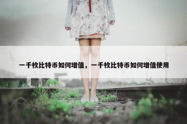 一千枚比特币如何增值，一千枚比特币如何增值使用