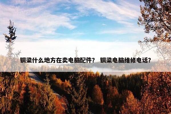 铜梁什么地方在卖电脑配件？ 铜梁电脑维修电话？
