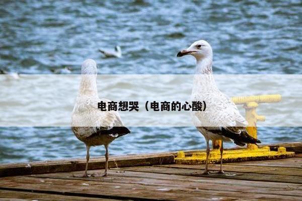 电商想哭（电商的心酸）