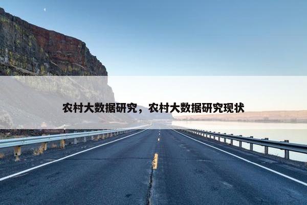 农村大数据研究，农村大数据研究现状