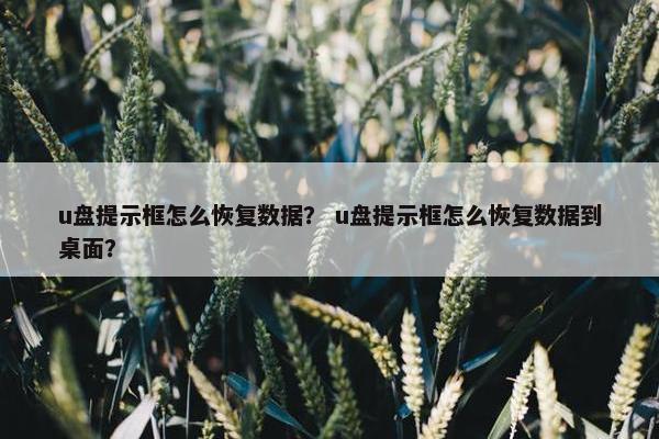 u盘提示框怎么恢复数据？ u盘提示框怎么恢复数据到桌面？