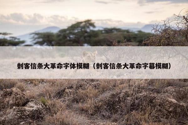 刺客信条大革命字体模糊（刺客信条大革命字幕模糊）