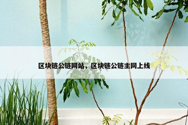 区块链公链网站，区块链公链主网上线