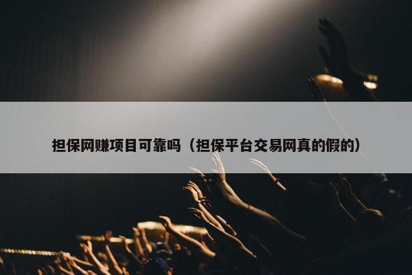 担保网赚项目可靠吗（担保平台交易网真的假的）