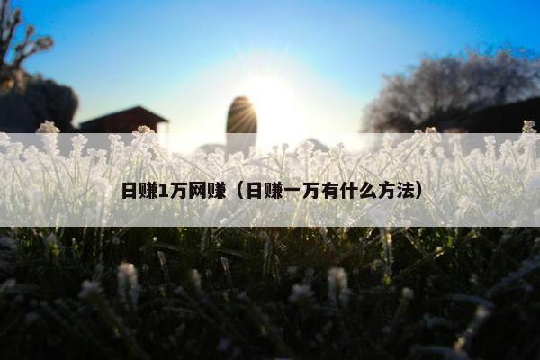 日赚1万网赚（日赚一万有什么方法）