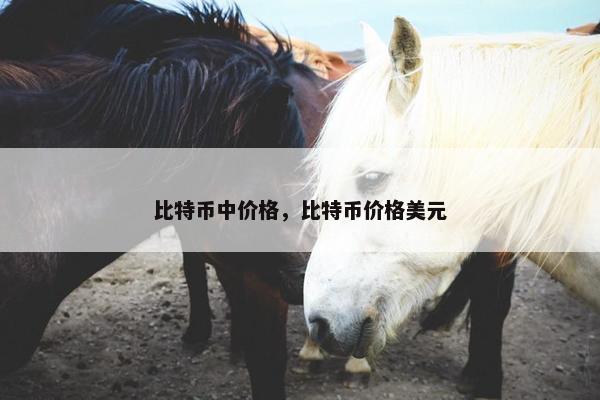 比特币中价格，比特币价格美元
