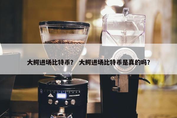 大鳄进场比特币？ 大鳄进场比特币是真的吗？