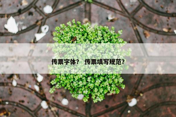 传票字体？ 传票填写规范？