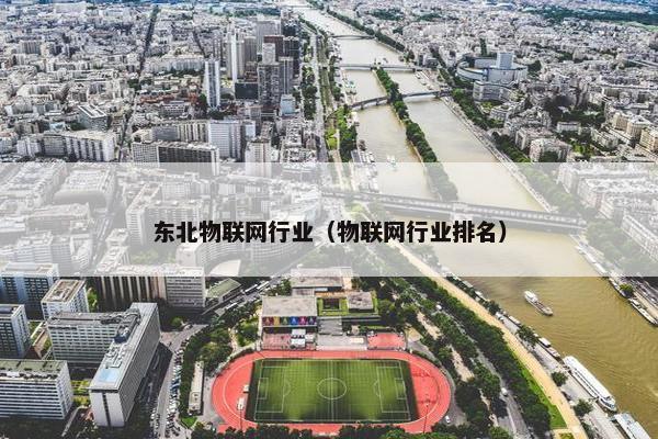 东北物联网行业（物联网行业排名）