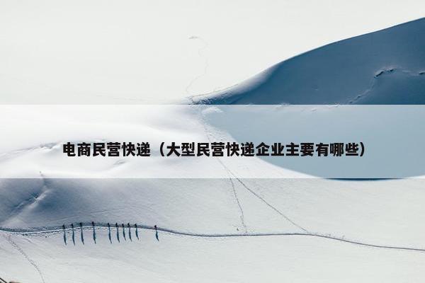 电商民营快递（大型民营快递企业主要有哪些）