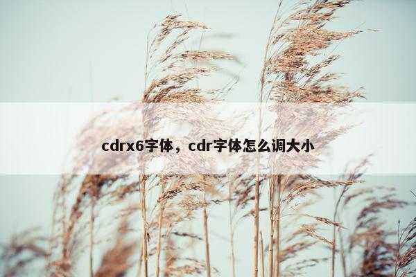 cdrx6字体，cdr字体怎么调大小