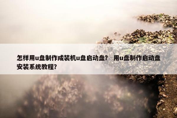 怎样用u盘制作成装机u盘启动盘？ 用u盘制作启动盘安装系统教程？