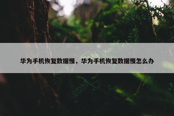 华为手机恢复数据慢，华为手机恢复数据慢怎么办