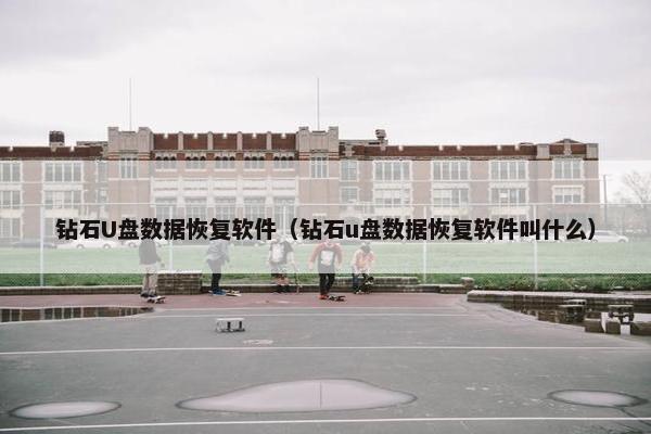 钻石U盘数据恢复软件（钻石u盘数据恢复软件叫什么）