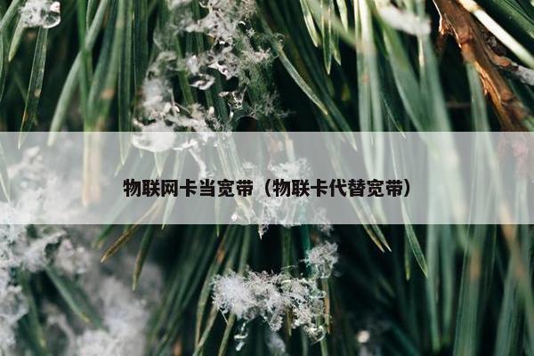 物联网卡当宽带（物联卡代替宽带）