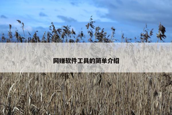 网赚软件工具的简单介绍