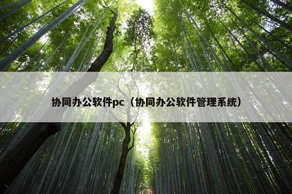 协同办公软件pc（协同办公软件管理系统）