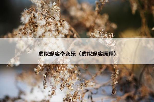 虚拟现实李永乐（虚拟现实原理）
