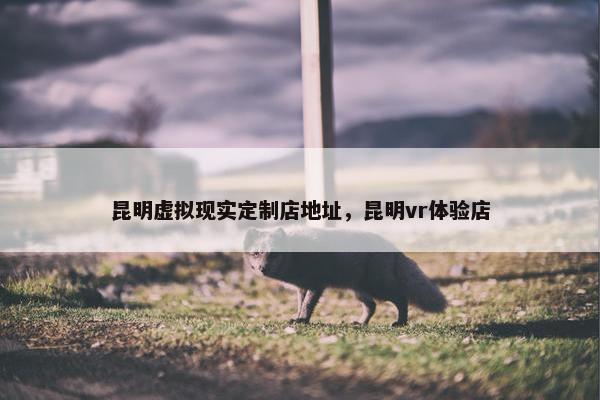 昆明虚拟现实定制店地址，昆明vr体验店
