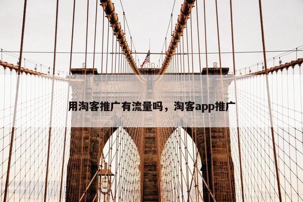 用淘客推广有流量吗，淘客app推广