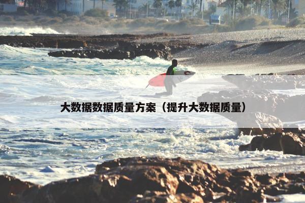 大数据数据质量方案（提升大数据质量）