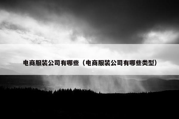 电商服装公司有哪些（电商服装公司有哪些类型）