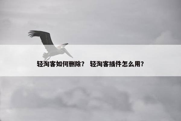 轻淘客如何删除？ 轻淘客插件怎么用？