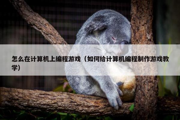 怎么在计算机上编程游戏（如何给计算机编程制作游戏教学）