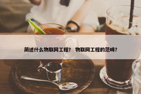 简述什么物联网工程？ 物联网工程的范畴？