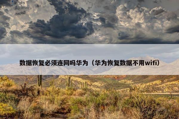 数据恢复必须连网吗华为（华为恢复数据不用wifi）