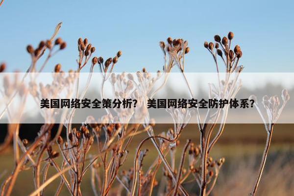 美国网络安全策分析？ 美国网络安全防护体系？