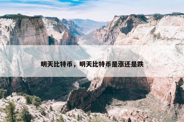 明天比特币，明天比特币是涨还是跌