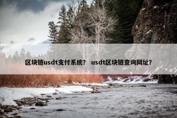区块链usdt支付系统？ usdt区块链查询网址？