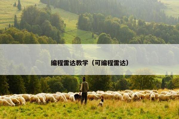 编程雷达教学（可编程雷达）