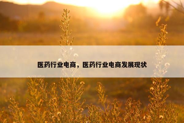 医药行业电商，医药行业电商发展现状