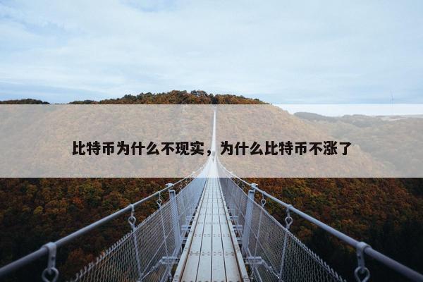 比特币为什么不现实，为什么比特币不涨了