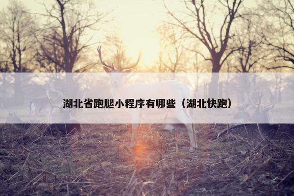 湖北省跑腿小程序有哪些（湖北快跑）