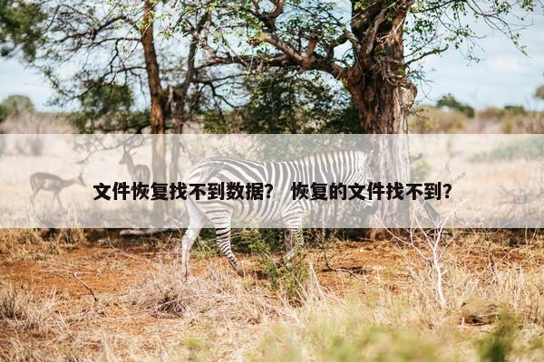 文件恢复找不到数据？ 恢复的文件找不到？