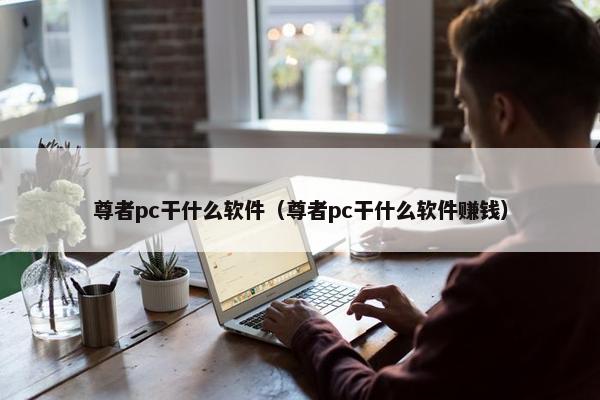 尊者pc干什么软件（尊者pc干什么软件赚钱）
