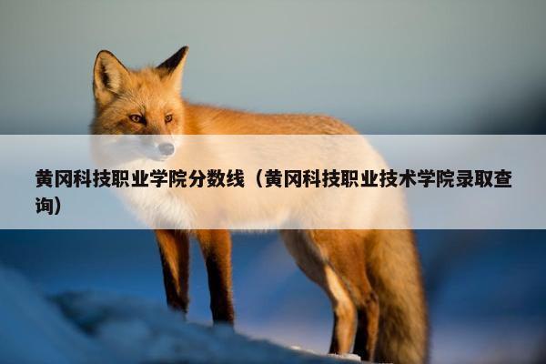 黄冈科技职业学院分数线（黄冈科技职业技术学院录取查询）