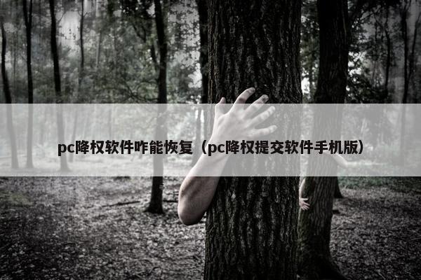 pc降权软件咋能恢复（pc降权提交软件手机版）