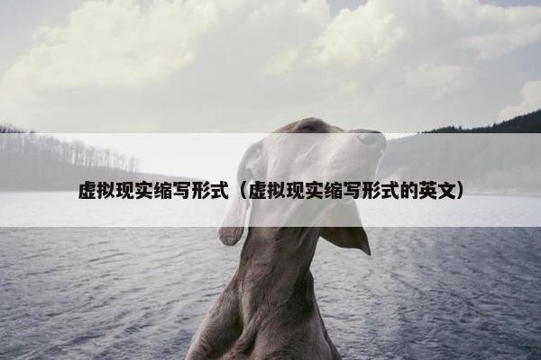 虚拟现实缩写形式（虚拟现实缩写形式的英文）