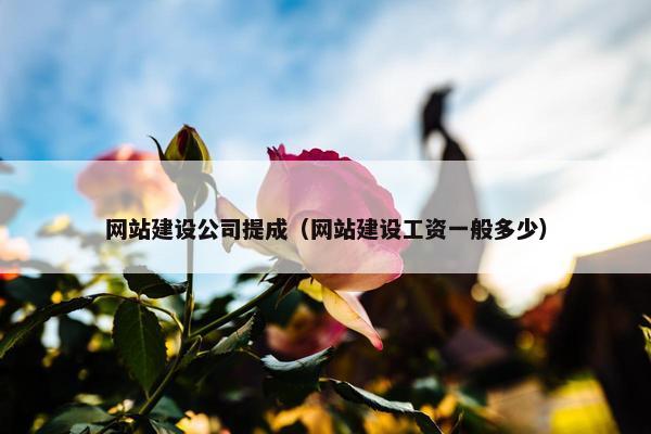 网站建设公司提成（网站建设工资一般多少）