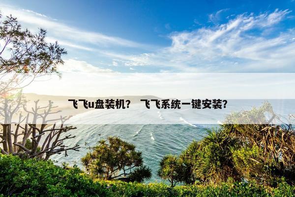 飞飞u盘装机？ 飞飞系统一键安装？
