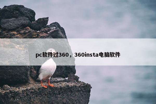 pc软件过360，360insta电脑软件