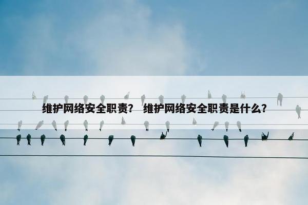 维护网络安全职责？ 维护网络安全职责是什么？