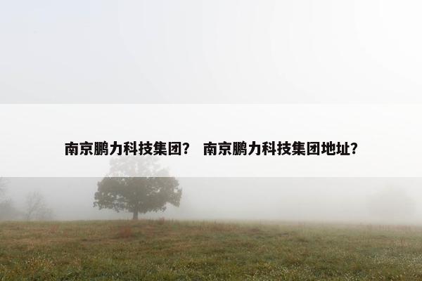 南京鹏力科技集团？ 南京鹏力科技集团地址？
