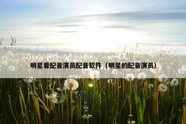 明星看配音演员配音软件（明星的配音演员）
